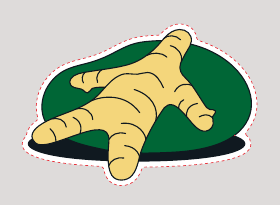 ビーンズクッションに寝るGingerMAN